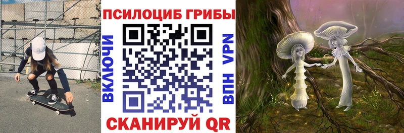 Галлюциногенные грибы GOLDEN TEACHER Галич