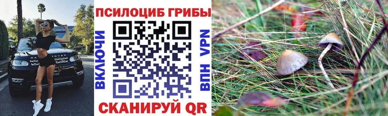 Галлюциногенные грибы GOLDEN TEACHER  наркота  это формула  Галич 