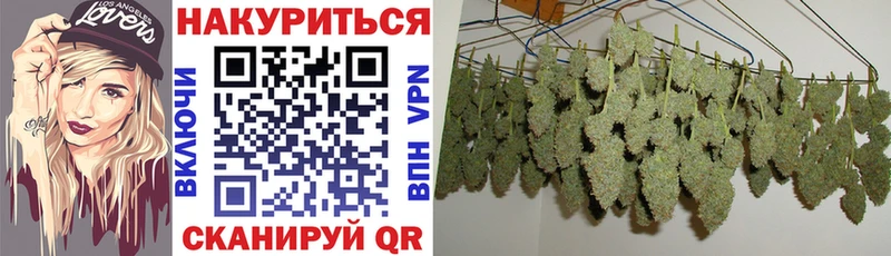 hydra вход  даркнет официальный сайт  Марихуана ГИДРОПОН  Галич 